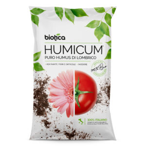 Humus di Lombrico