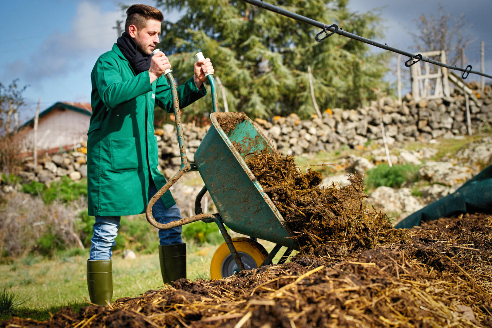 BIOTICA Lombrichi Rossi californiani vivi Eisenia fetida – 1 Metro  quadro/3kg – per Compostaggio Domestico Vermicompostaggio in Compostiera  per produzione di Humus – Vermi da Terra ideali anche per la Pesca – Biotica