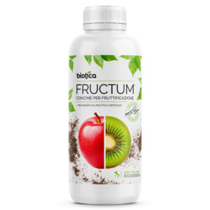 Fructum