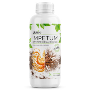 Impetum Attivatore Radicale 1L