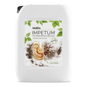 Impetum Attivatore Radicale 10L