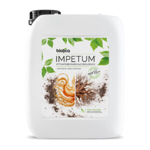 Impetum Attivatore Radicale 5L