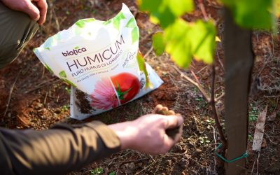 come-risparmiare-acqua-in-agricoltura-dalla-scelta-del-fertilizzante-alle-pratiche-sostenibili