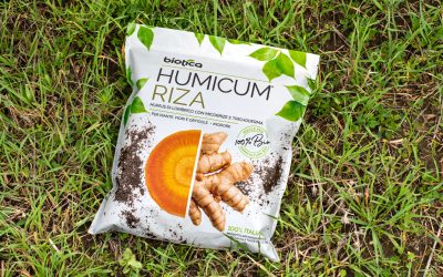 micorrize-e-trichoderma-cosa-sono-e-come-utilizzarli-per-un-orto-in-salute